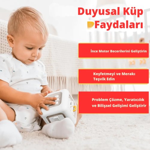 Montessori 6'sı 1 Arada Eğitici Aktivite Küpü 